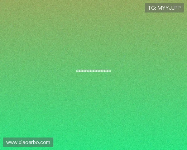 西甲夏季转会市场：各大豪门动态与新星加盟解析